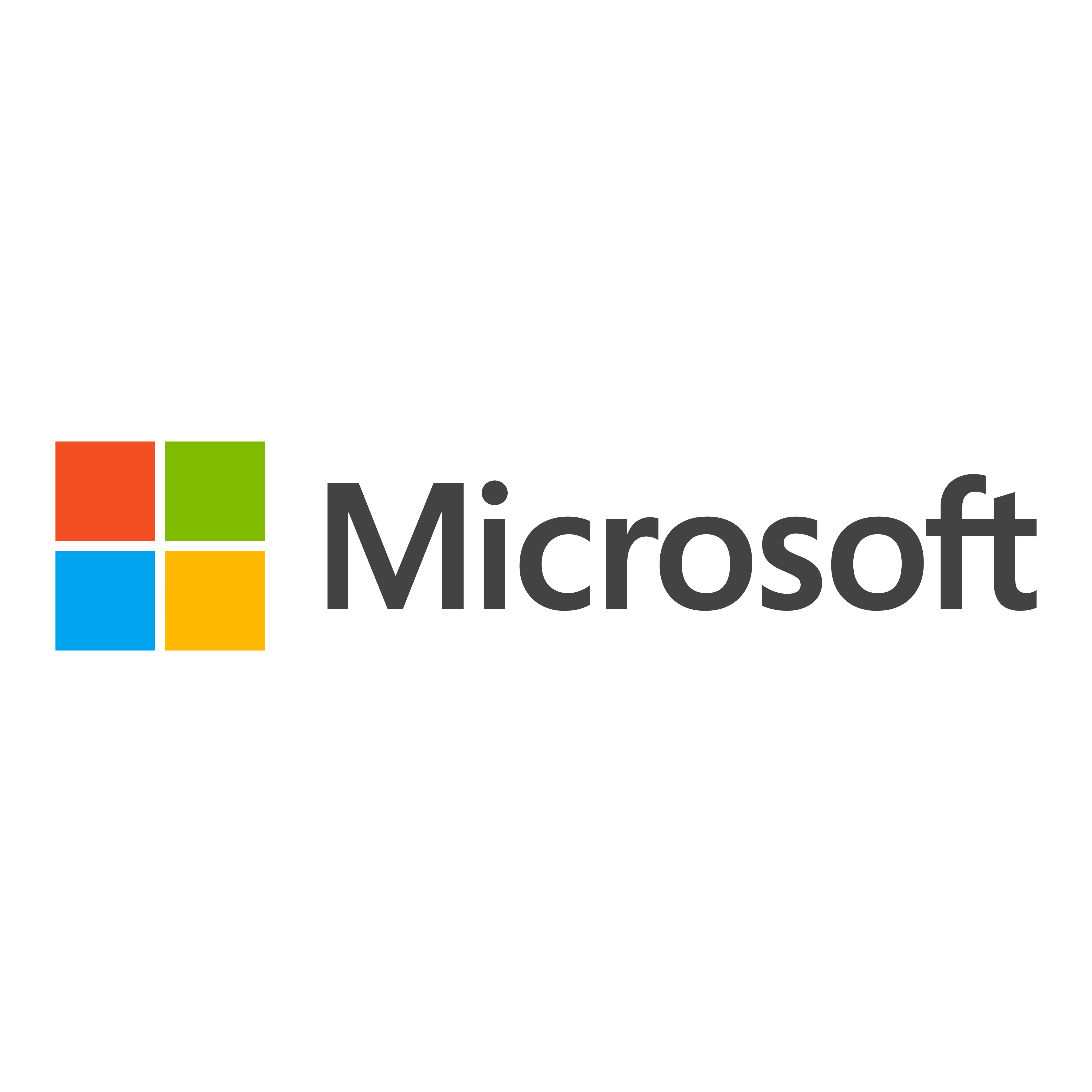 Microsoft Icon